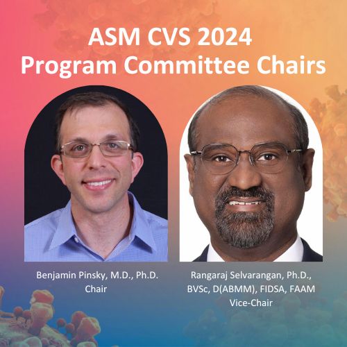 ASM CVS 2024 Program Committee Chairs
