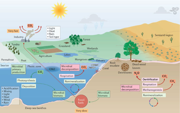 Microbes in the Climate Change cycle
