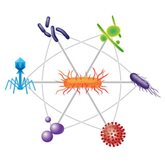 Illustration of a group of microbes around a bacterial cell.