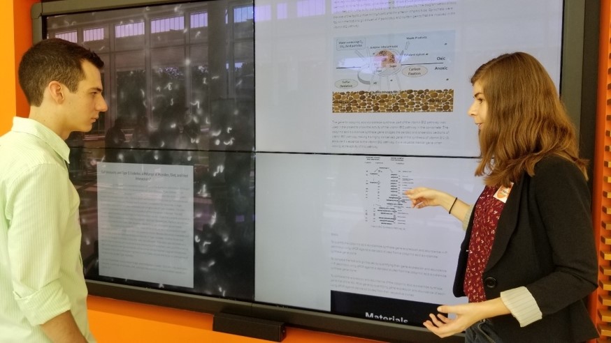 Jillian Walton presents her research at Clemson University's Creative Inquiry program.