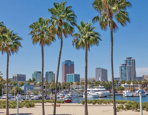 Long Beach is this year's venue for ASM CVS.