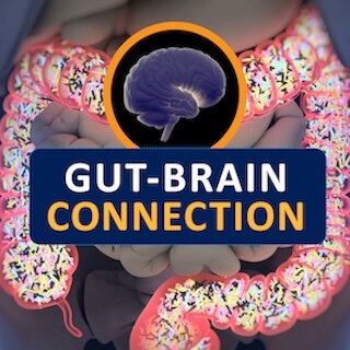 Illustrative representation of the gut-brain axis.